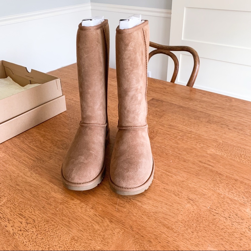 Tall Chestnut Uggs
